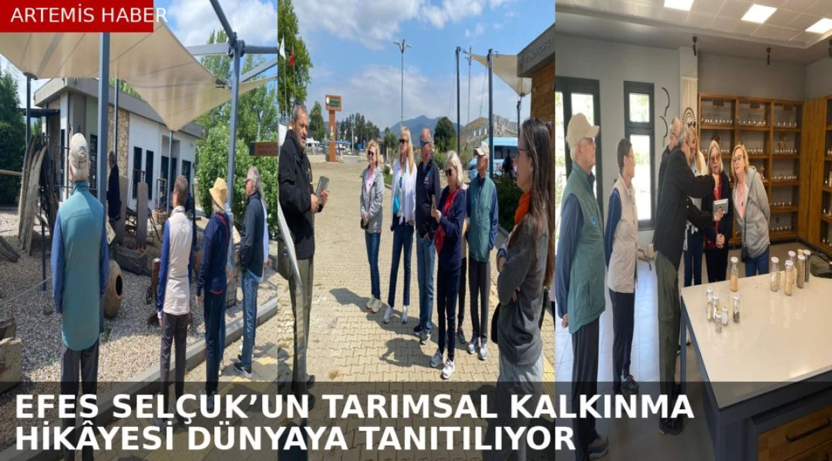 Efes Sel&ccedil;uk&rsquo;un tarımsal kalkınma hik&acirc;yesi d&uuml;nyaya tanıtılıyor