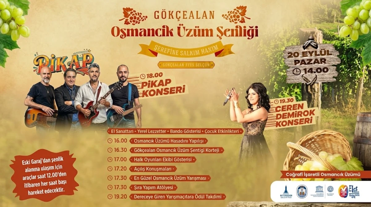G&ouml;k&ccedil;ealan&rsquo;da &Uuml;z&uuml;m Bereketi: Osmancık &Uuml;z&uuml;m Şenliği Başlıyor!